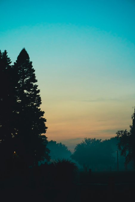 A peaceful sunrise scene with silhouetted trees against a teal and orange gradient sky, capturing the calm "just woke up" morning vibe shared in the post.