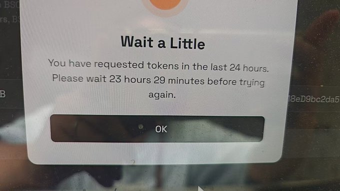 A computer screen displaying an error dialog box titled 'Wait a Little' stating 'You have requested tokens in the last 24 hours. Please wait 23 hours 29 minutes before trying again.' with an 'OK' button.