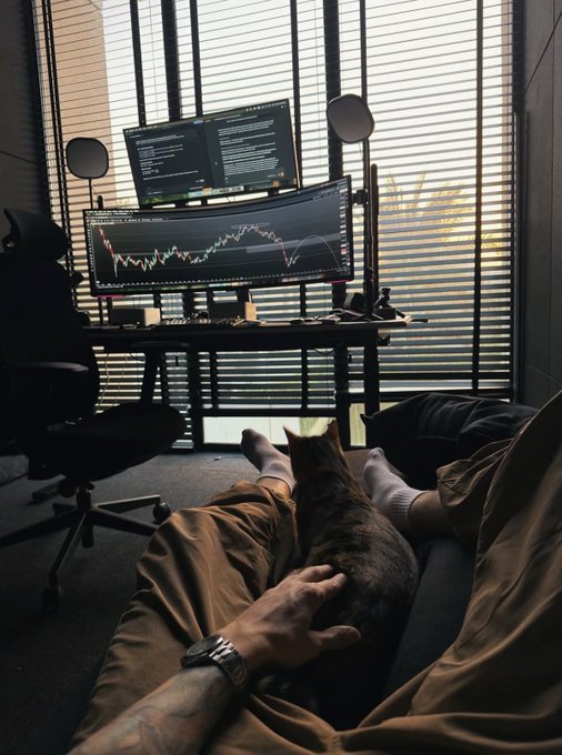 A first-person view of someone relaxing with a tabby cat on their lap while facing a dual-monitor trading setup displaying candlestick charts and code, with sunlight filtering through window blinds.