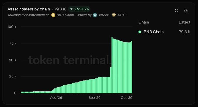 A bar chart from Token Terminal titled 'Asset holders by chain' showing 79.3K holders on BNB Chain for tokenized commodities (XAUT issued by Tether), with a notable jump in September 2026.