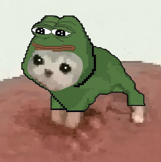 A digitally edited meme image combining Pepe the Frog with a white cat face, standing on a brown surface.