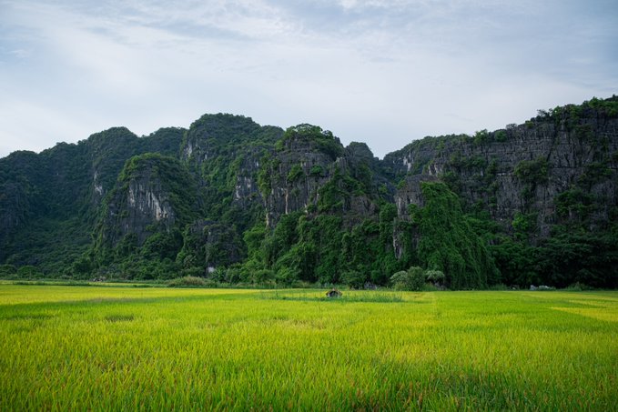 A scenic landscape photograph showing a lush green rice paddy field in the foreground with a person on a bicycle, backed by dramatic limestone karst mountains covered in dense vegetation.