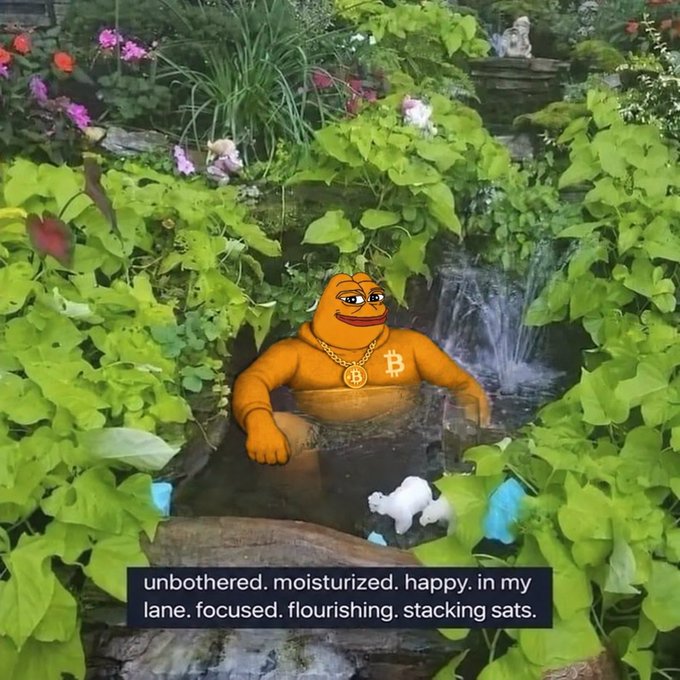 A digital edit of a muscular orange Pepe frog wearing Bitcoin-themed jewelry sits relaxed in a lush garden fountain, captioned "unbothered. moisturized. happy. in my lane. focused. flourishing. stacking sats," with the phrase "stacking sats" directly echoing the post's "keep stacking" mantra.