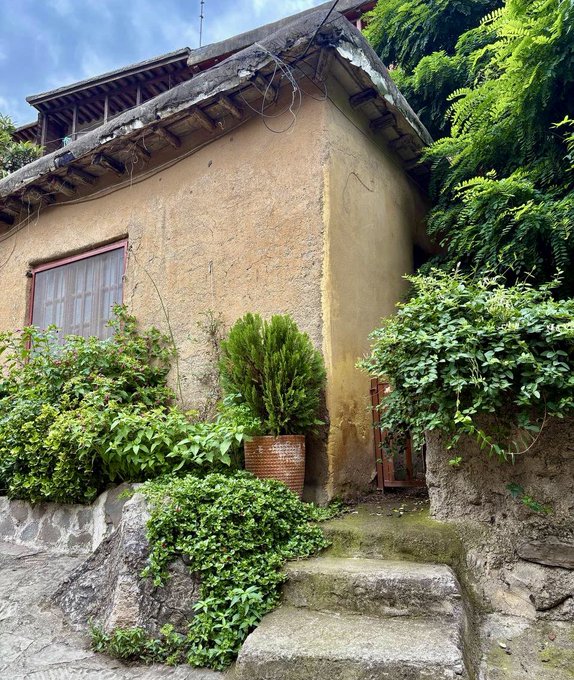 A rustic yellowish stucco house with a tiled roof, surrounded by lush green plants and ivy, with stone steps leading up to it.
