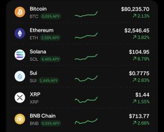A dark-themed cryptocurrency price tracker displaying Bitcoin ($80,235.70), Ethereum ($2,546.45), Solana ($104.95), Sui ($0.7775), XRP ($1.44), and BNB Chain ($713.77) with their respective 24-hour percentage changes.