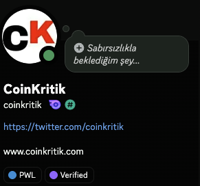 The image is a Twitter/X profile card for **CoinKritik** (@coinkritik, https://twitter.com/coinkritik, www.coinkritik.com), showing a PWL and Verified badge alongside a "Sabırsızlıkla beklendiğin şey..." (Turkish for "Something eagerly awaited...") teaser bubble. It does not depict the Lighter NFT collection or the $LIT airdrop mentioned in the accompanying post.