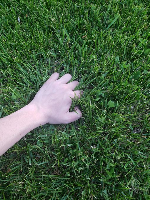 A pale hand resting on green grass, viewed from above.