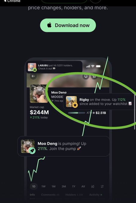 Bullish mobile-app promotional screenshot circled in green showing 'Moo Deno (MOODE)' and 'Rigby' on a watchlist, with Moo Deng 'pumping up 211%', market cap $244M, and 4.23K holders.