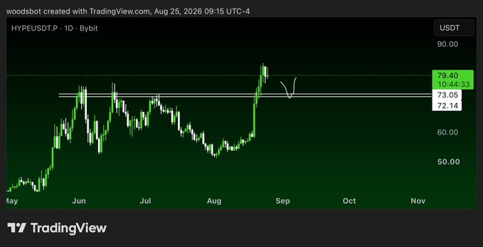 A TradingView 1-day chart of HYPEUSDT.P (HYPE token) on Bybit showing the recent rally to ~$79.40 followed by a pullback toward the $72.14–$73.05 support zone, aligning with the post's call for a basing pattern near summer highs before targeting triple-digit prices.