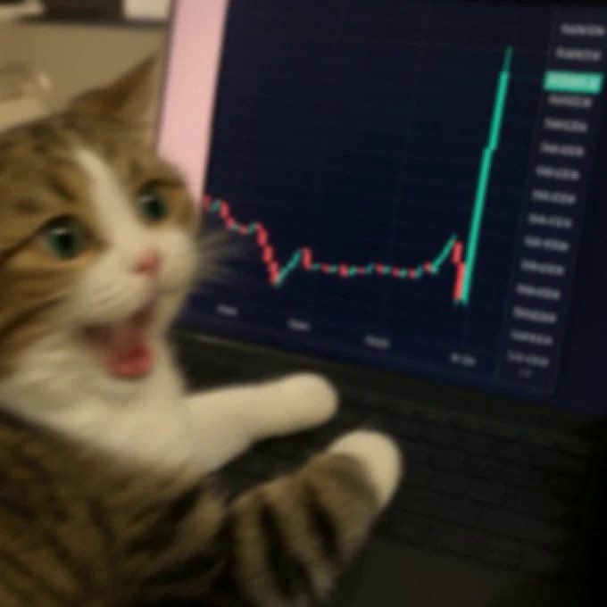 A shocked-looking tabby cat with its mouth open, paws on a laptop displaying a sharply rising green candlestick chart.
