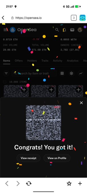 A mobile screenshot of the OpenSea website celebrating a successful transaction with the text 'Congrats! You got it!', overlaid with colorful confetti and showing a pixelated NFT.