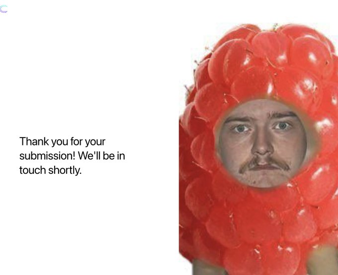 The image features a man wearing a red raspberry costume with a face made out of balloons. The caption below the image reads "Thank you for your submission! We'll be in touch shortly." This suggests that the person who created this image might have participated in an online contest or challenge related to the #cysic_xyz hashtag, and they are expressing their gratitude for being included in it.