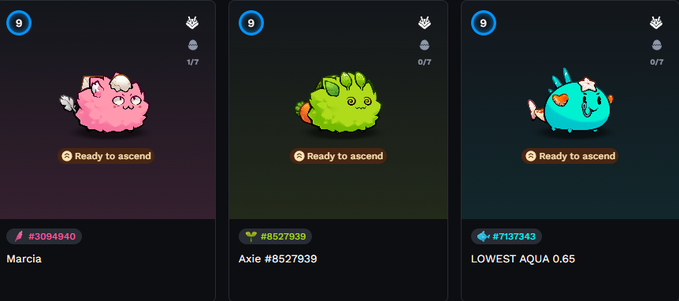 A digital interface displaying three cards for NFT-style digital creatures (pink, green, and blue), each labeled 'Ready to ascend', with names 'Marcia', 'Axie #8527939', and 'LOWEST AQUA 0.65'.