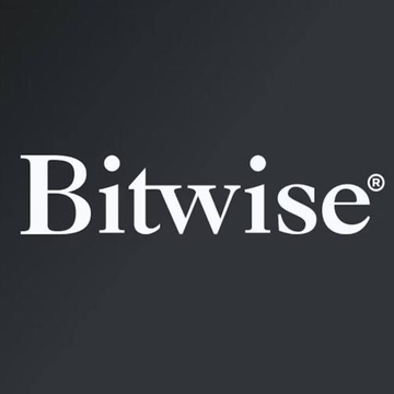 The Bitwise logo is displayed in white serif text on a dark gray background, with a registered trademark symbol.