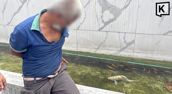 A man with a blurred face, wearing a blue shirt and a tan hat, sits beside a large indoor aquarium filled with fish and what appears to be a stingray, with a "K" logo visible in the corner. The Japanese caption translates to "Bangkok's level is high," likely referring to the impressive, upscale nature of the aquarium facility shown.