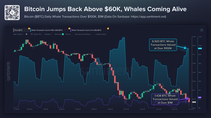 A Santiment chart showing Bitcoin's price recovery above $60K alongside whale transaction data, with 6,920 BTC transactions valued over $100K and 1,438 transactions over $1M, illustrating renewed whale activity accompanying Bitcoin's bounce back above the key psychological price level.