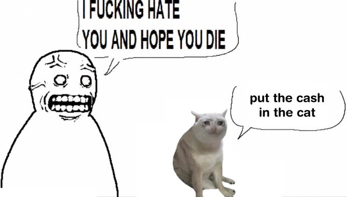 A meme featuring a distressed "rage face" character on the left with a speech bubble saying "I FUCKING HATE YOU AND HOPE YOU DIE," and a cat on the right with a speech bubble saying "put the cash in the cat."