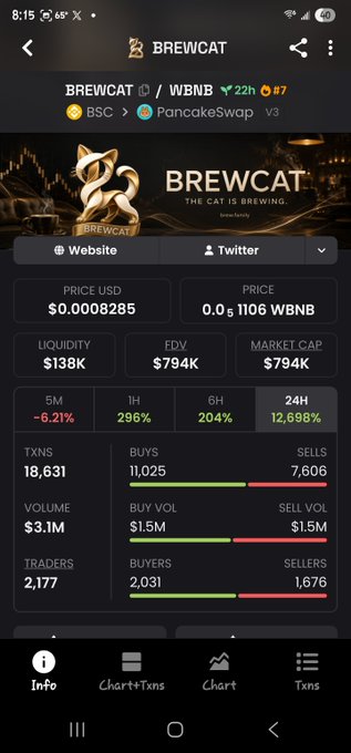 A DexScreener-style crypto tracking page for BREWCAT/WBNB token showing price $0.0008285, liquidity $138K, market cap $794K, with 12,698% gain over 24H.