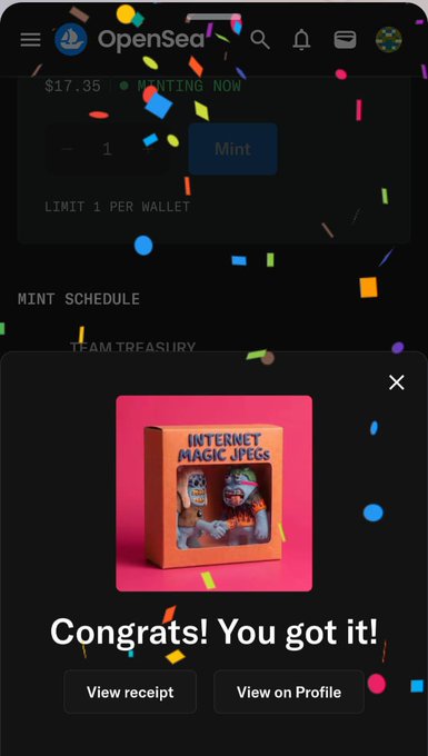 An OpenSea mobile app screenshot celebrating a successful NFT mint of 'INTERNET MAGIC JPEGS' with confetti animation and 'Congrats! You got it!' message.