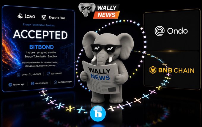 A 'Wally News' graphic featuring a 3D elephant mascot reading a newspaper, surrounded by crypto news panels including 'Bitbond ACCEPTED' into the Lava Energy Tokenization Sandbox, alongside Ondo and BNB Chain logos.