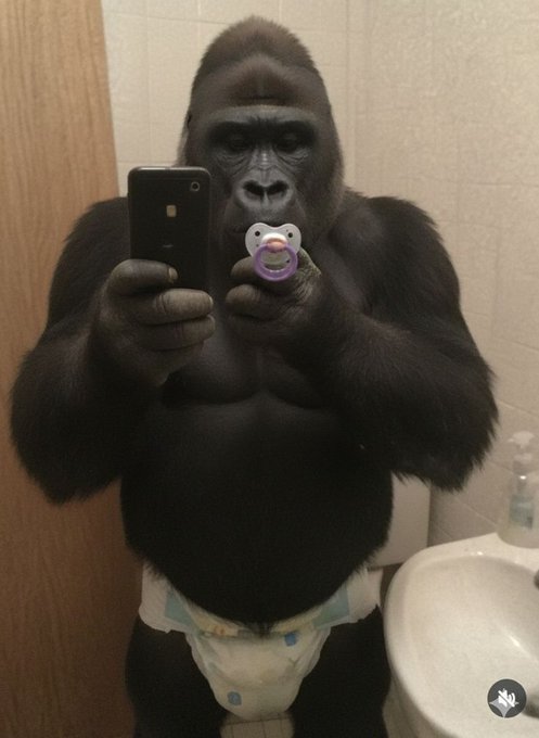 A humorous edited photo of a large gorilla wearing a diaper, taking a mirror selfie with a smartphone while holding a purple baby pacifier in its other hand, standing next to a bathroom sink.