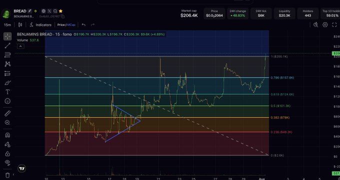 A cryptocurrency trading chart for BENJAMIN'S BREAD token showing a price of $0.20664 with a +48.83% change, displaying Fibonacci retracement levels and various technical indicators.