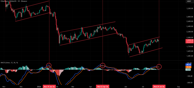 A daily Ethereum (ETH/USDT) chart shows price action within a multi-month ascending channel structure, with a MACD indicator (12, 26, 9) plotted below highlighting three historical bearish crossover points marked with red circles. Each crossover corresponds to the end of a rally and the start of a major sell-off, with the latest signal appearing in late July, visually confirming the post's thesis that ETH is printing the same bearish setup for the third time.