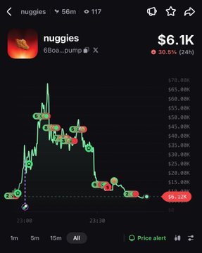 Another crypto chart for "nuggies" showing a price of $6.1K with a 30.5% drop over 24h, trending downward on the price graph.