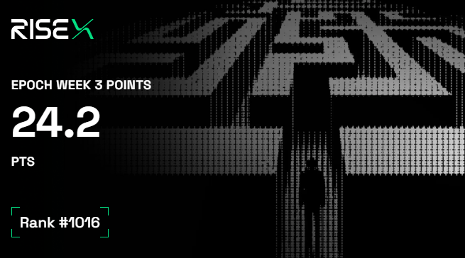 A dark dashboard from RISE showing 'EPOCH WEEK 3 POINTS 24.2 PTS' and 'Rank #1016'.