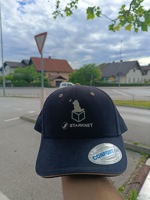 urn of flowers sits on a windowsill, with a house and street sign in the background, and a black cap with "StarKnet" logo held by a person's hand.