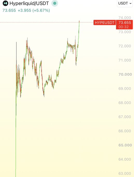 A cryptocurrency price chart for Hyperliquid/USDT showing a current price of 73.655, up 3.955 (+5.67%), with a price line trending upward over time.