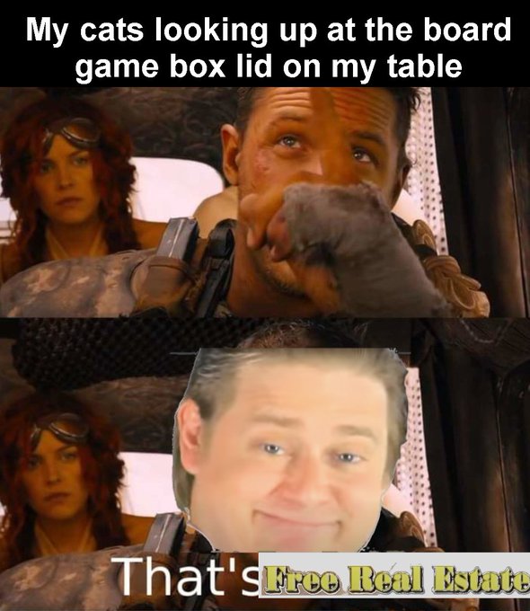 A two-panel meme showing a scene from a Mad Max movie; the top text reads 'My cats looking up at the board game box lid on my table', and the bottom panel replaces a character's face with a smiling man and the text 'That's Free Real Estate'.