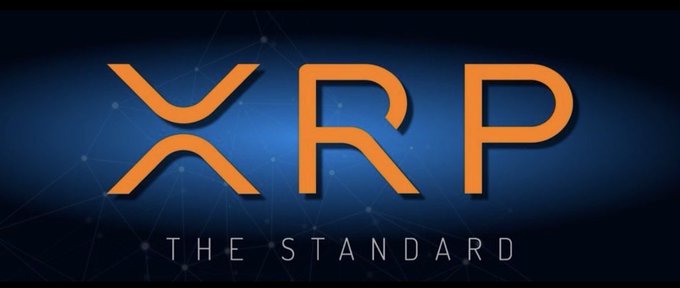 The XRP logo displayed prominently in orange against a dark blue background with the tagline 'THE STANDARD'.
