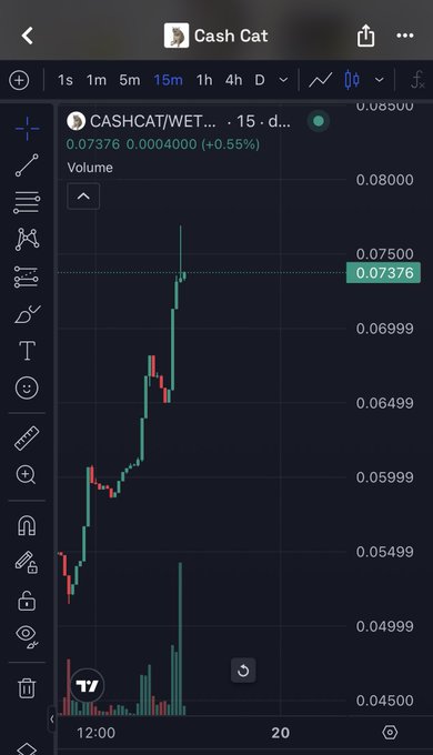 The image shows a TradingView chart for the CASHCAT/WET trading pair on a 15-minute timeframe, displaying an upward price trend from around 0.0538 to 0.07376 (+0.55%) with notable volume spikes, which visually supports the post's question about why the $CASHCAT token is pumping.