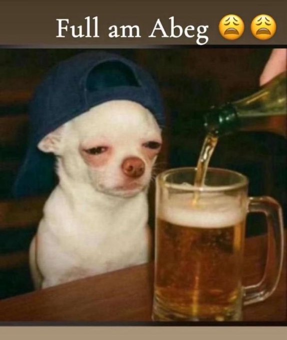 A meme featuring a white chihuahua wearing a blue backward cap, looking sad as beer is poured into a mug next to it, with text reading 'Full am Abeg' and two weary face emojis.