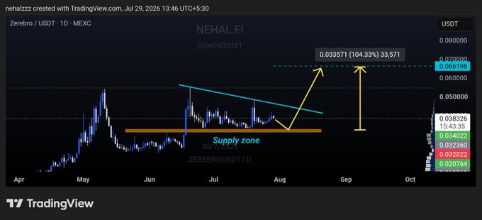TradingView chart of Zerebro (ZEREBRO/USDT) on MEXC showing a daily candlestick pattern with a highlighted "Supply zone" in the 30/7/2020 area, a descending trendline, and yellow arrows projecting a potential 104.33% move up to $0.066198 (target marked 33,571) — visually supporting the post's thesis of a 100% upside if the demand zone holds and the downtrend breaks.