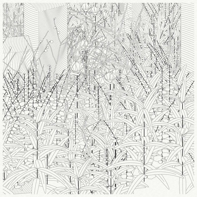 A black and white line drawing creates a dense, abstract pattern of plants or grass-like shapes with flowing lines and geometric details.