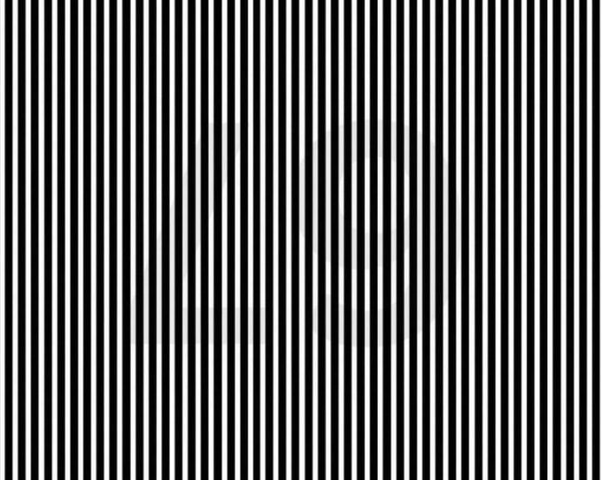 The image shows a black background filled with closely spaced vertical beige/cream-colored stripes of varying widths, creating a moiré-like pattern that makes it extremely difficult to distinguish any hidden number or shape within the stripes.