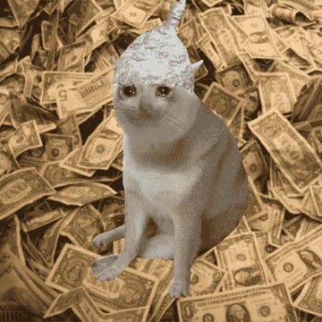 A white cat with what appears to be a dollop of cream or foam on its head, sitting on a large pile of U.S. dollar bills.
