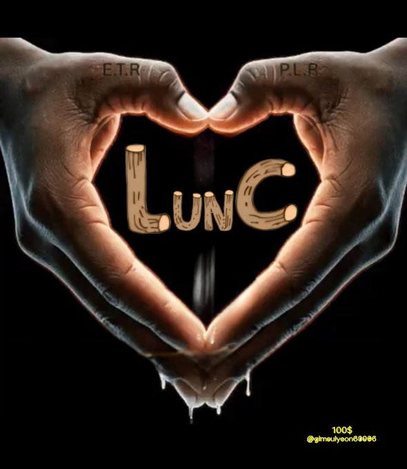 Two hands form a heart shape against a black background, framing the word 'LUN.C' with 'E.I.R' and 'P.L.R' written on the fingers and '100$ @ginnulycorn69666' in the corner.