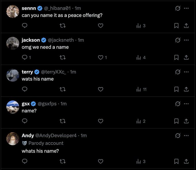 A screenshot of several Twitter/X replies all asking variations of 'what's his name?' from users sennn, jackson, terry, gsx, and Andy.