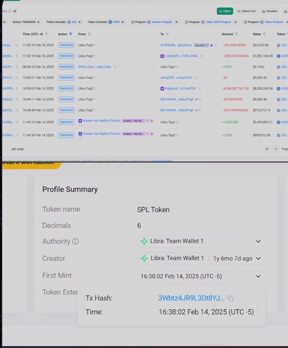 Two stacked screenshots from a blockchain explorer showing a list of Solana token transfer transactions involving 'Libra' and 'SOL', along with a 'Profile Summary' for an SPL Token created by 'Libra: Team Wallet 1' on Feb 14, 2025.