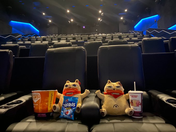 Two plush cat toys wearing "CHONKY" bandanas sit in movie theater seats alongside popcorn, Nerds candy, and a drink, humorously staged as if attending a premiere. The setup plays on the "Cat Coin" meme, framing the spectacle as a cinematic event where the audience (cats) enjoys the show.
