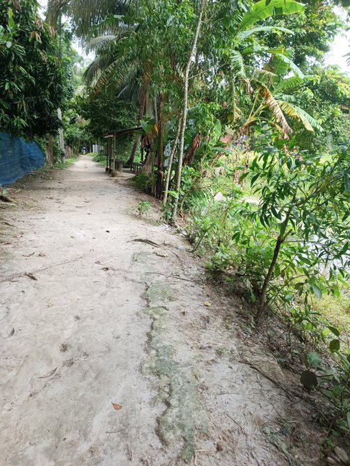 A narrow dirt path winds through a lush, tropical landscape lined with banana trees and dense green foliage, suggesting a peaceful countryside morning. The serene natural setting pairs with the optimistic, motivational message of staying positive, focused, and bullish on the future.