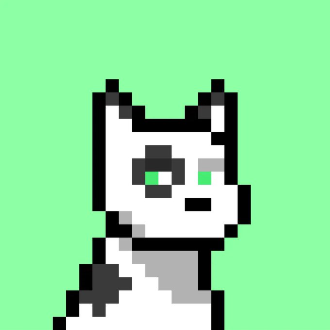 A pixel art image of a white cat-like character with green eyes and a black eye patch on a green background.