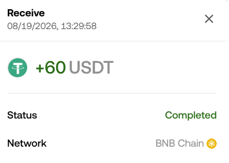 A digital wallet transaction receipt showing a completed receive of +60 USDT on the BNB Chain network, dated 08/19/2026.