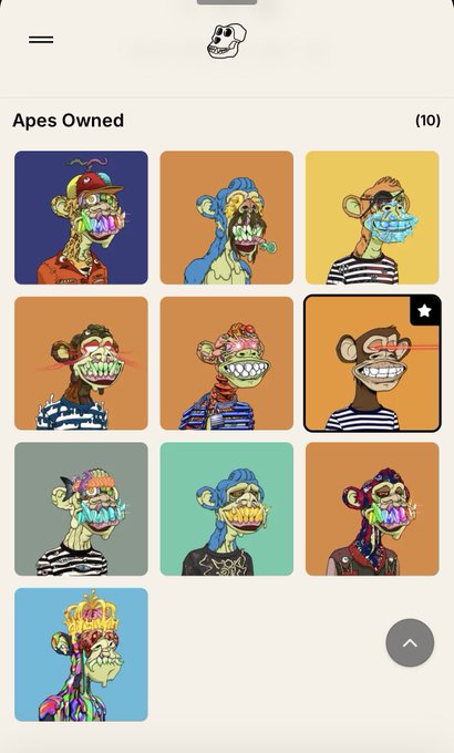 A mobile screenshot showing a Bored Ape Yacht Club (BAYC) NFT collection of 10 apes with the header "Apes Owned (10)". One ape is marked with a star (favorited), and the image relates to the post about listing all apes for sale due to the owner's token wallet being compromised, resulting in the loss of $250,000 USD in savings.