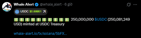 A Whale Alert tweet reporting that 250,000,000 USDC ($250,081,249 USD) was minted at USDC Treasury, with USDC price listed at $0.99981.