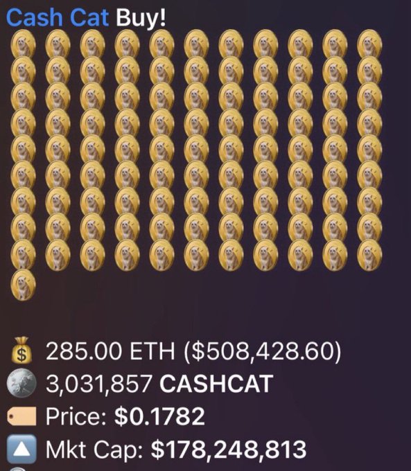 A cryptocurrency listing titled 'Cash Cat Buy!' showing a grid of cat emojis, priced at 0.1782 USD with a market cap of 178,248,813, requiring 285.00 ETH ($508,428.60).