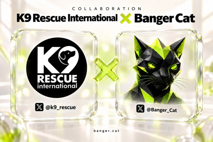 The image promotes a collaboration between K9 Rescue International (@k9_rescue) and Banger Cat (@Banger_Cat), displaying their logos side-by-side within ice-like crystal frames against a glowing yellow background. The post announces the partnership to support feeding stray cats in Macedonia through crypto donations, connecting the visual branding to their real-world charitable initiative.